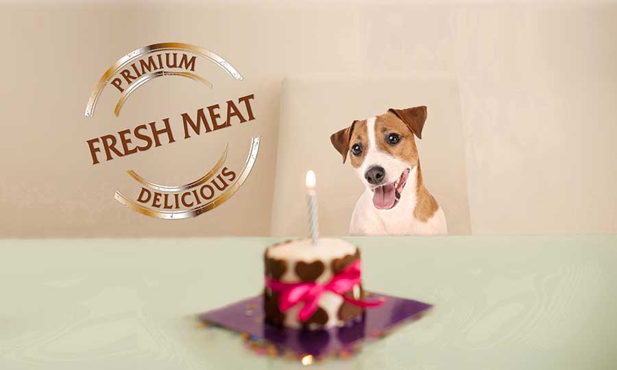 Primium - Alimenti da Primo Premio per Cani e Gatti